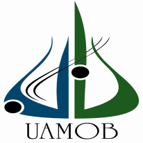 Logo Université Akli Mohand Oulhadj de Bouira